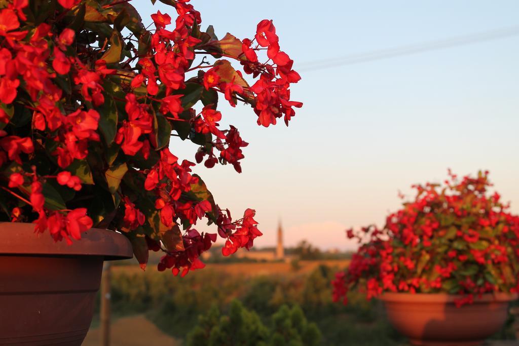 Agriturismo Le Casette Castelvetro di Modena Exterior photo
